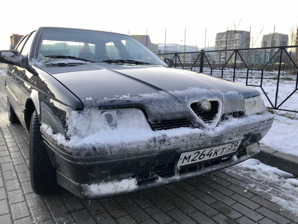 Фото в бортжурнале Alfa Romeo 164