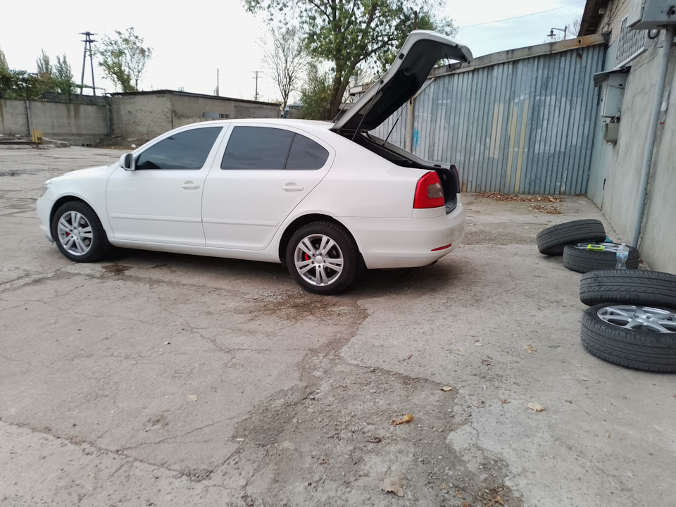 Летний комплект на зимовку, на зимних стало мягче и легче. — Skoda Octavia A5 Mk2