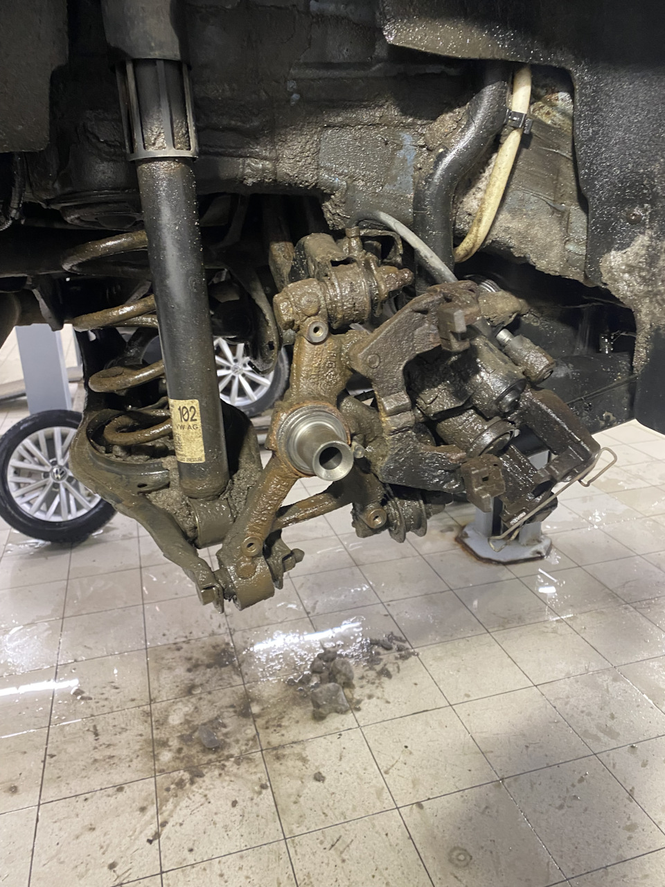 Фото в бортжурнале Volkswagen Golf Mk7