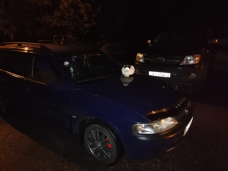 Фото в бортжурнале Opel Vectra B