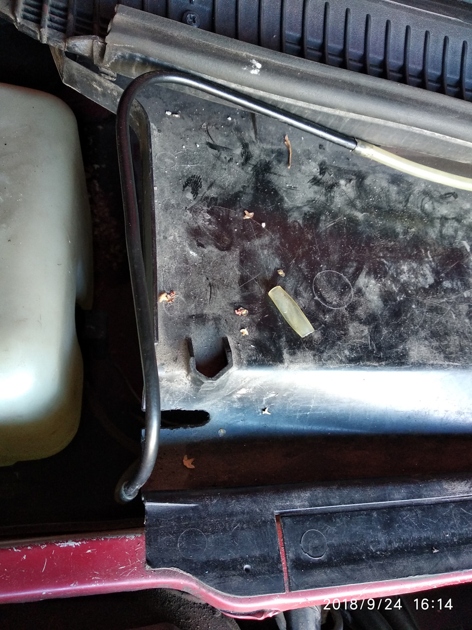 Фото в бортжурнале Peugeot 405