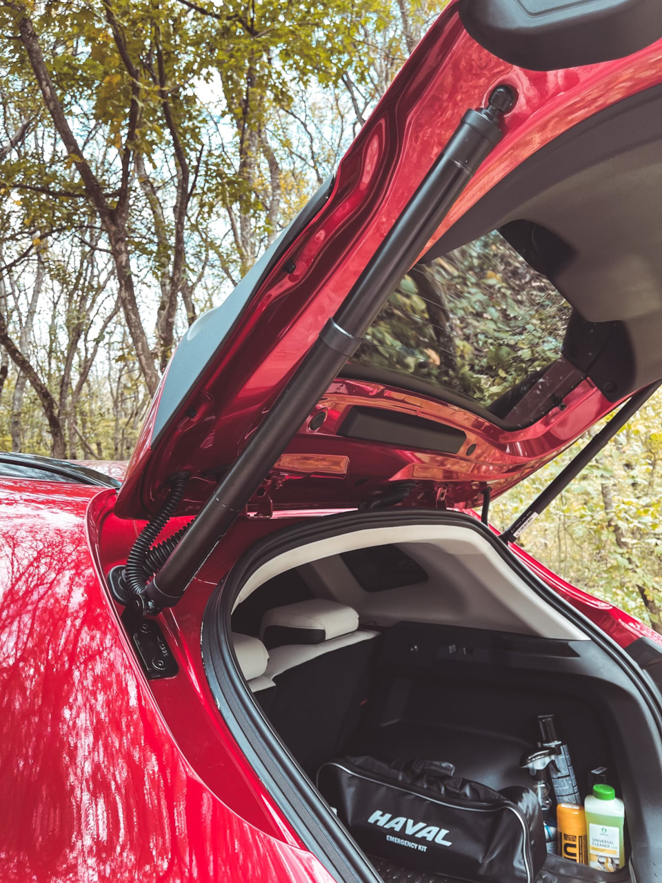 Фото в бортжурнале Haval Jolion