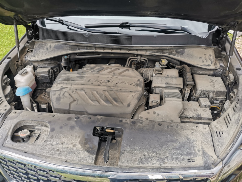 Фото в бортжурнале KIA Sorento (3G)