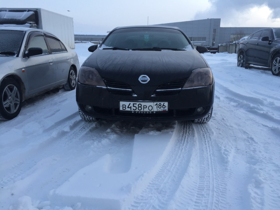 На следующее морозное утро! — Nissan Primera (P12). Запчасти на фото: P0186