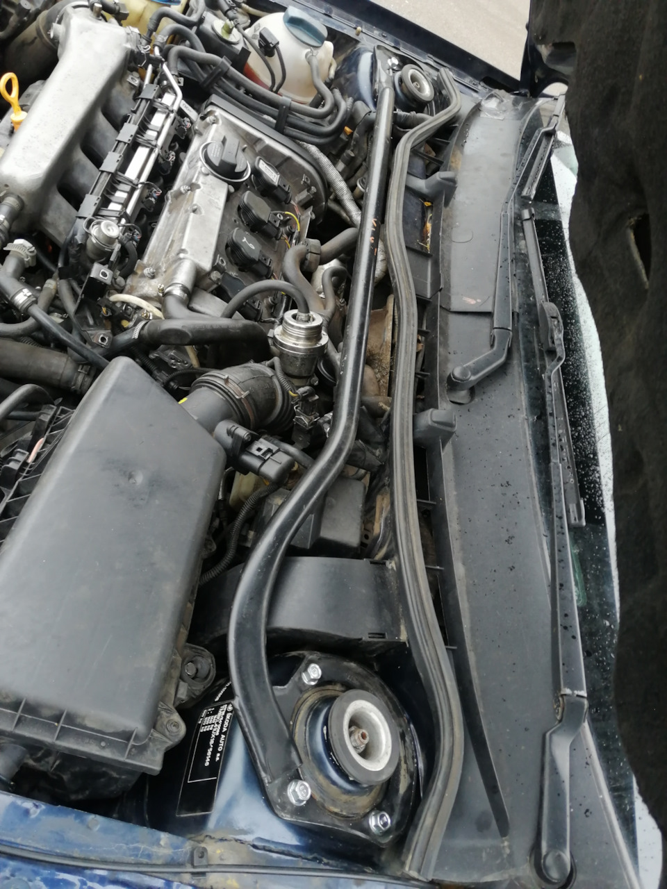 Распорочка дома) — Skoda Octavia Combi A4 Mk1