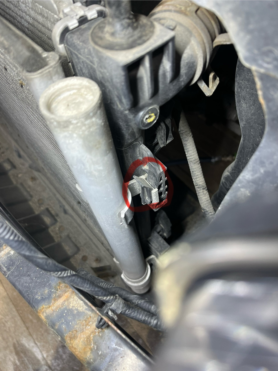 Фото в бортжурнале Hyundai Accent (4G)