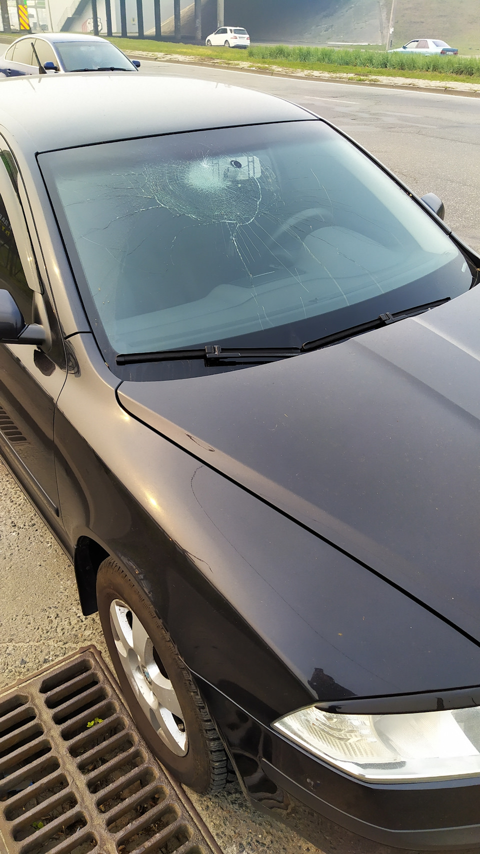 Фото в бортжурнале Skoda Octavia A5 Mk2