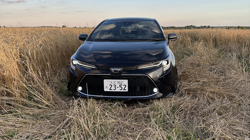 Toyota Corolla Touring SHŌGUN