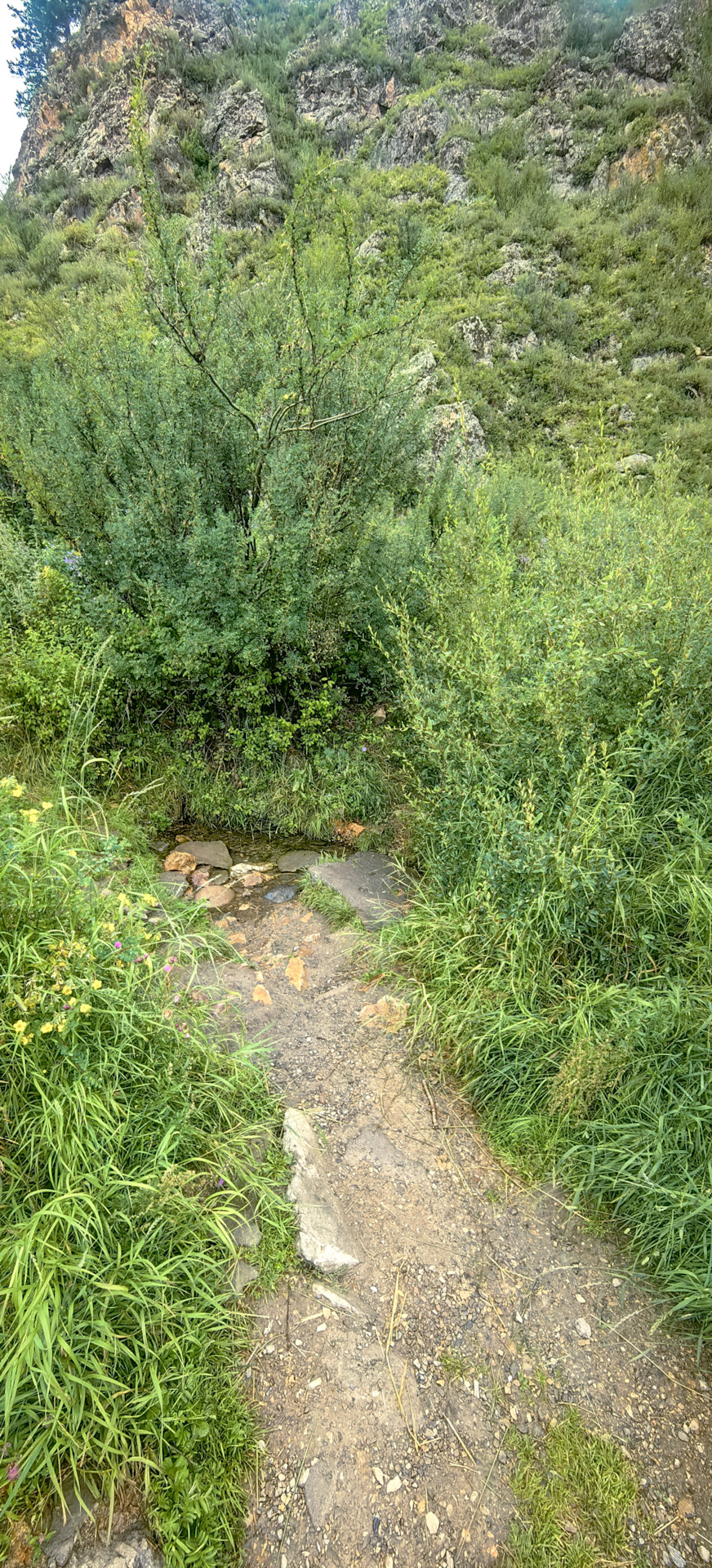 Фото в бортжурнале Acura MDX (3G)