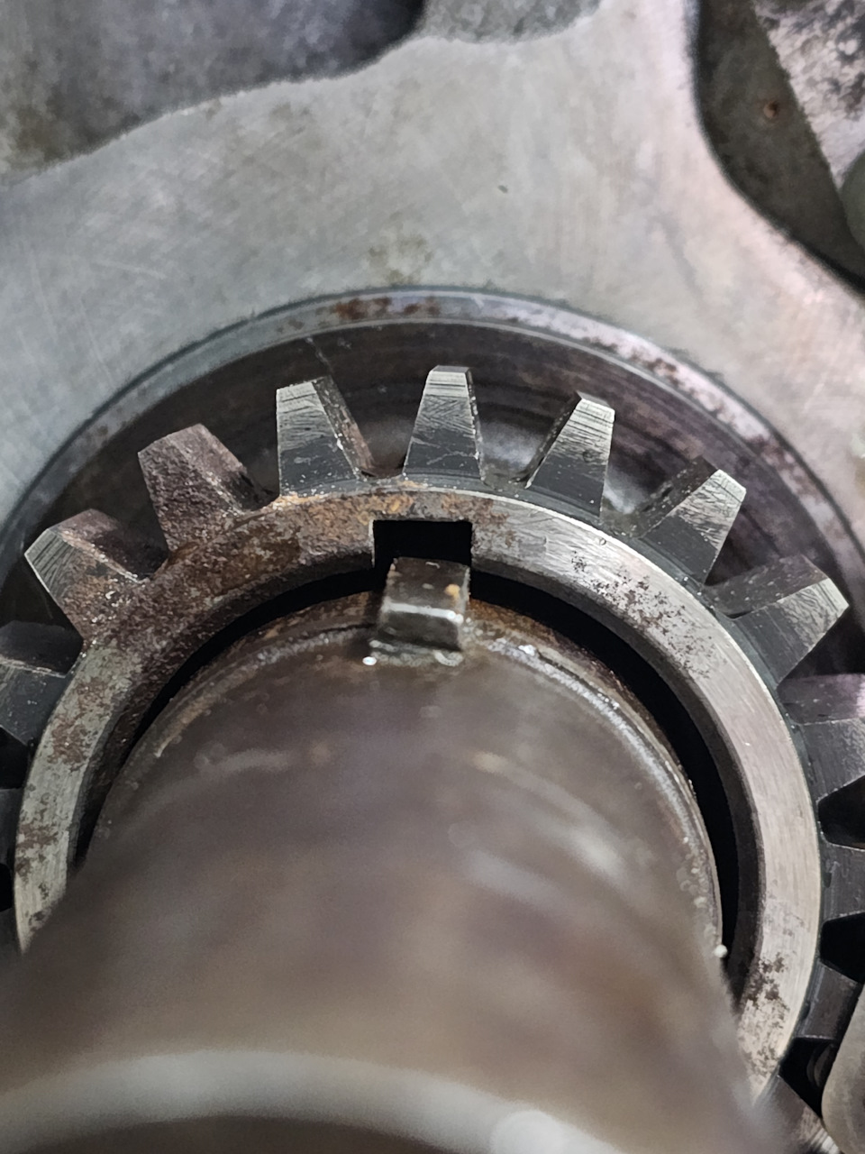 Фото в бортжурнале ГАЗ 24