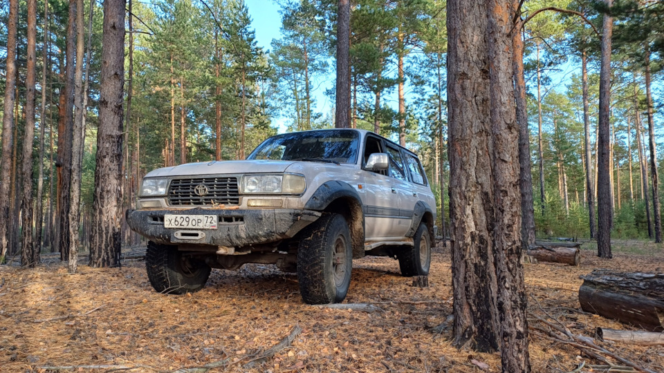 Фото в бортжурнале Toyota Land Cruiser 80