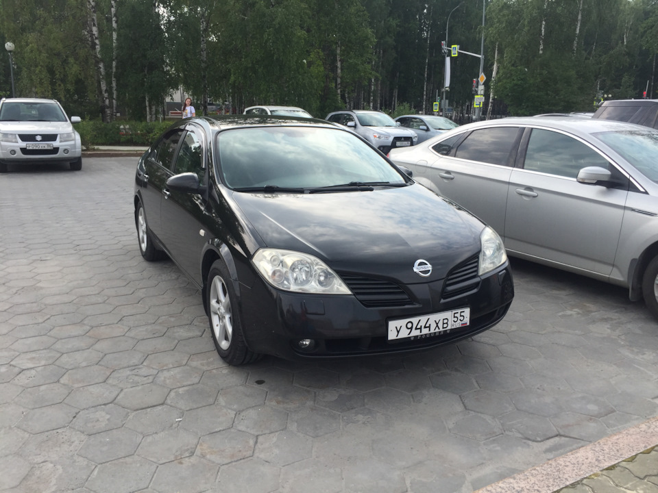 Фото в бортжурнале Nissan Primera (P12)