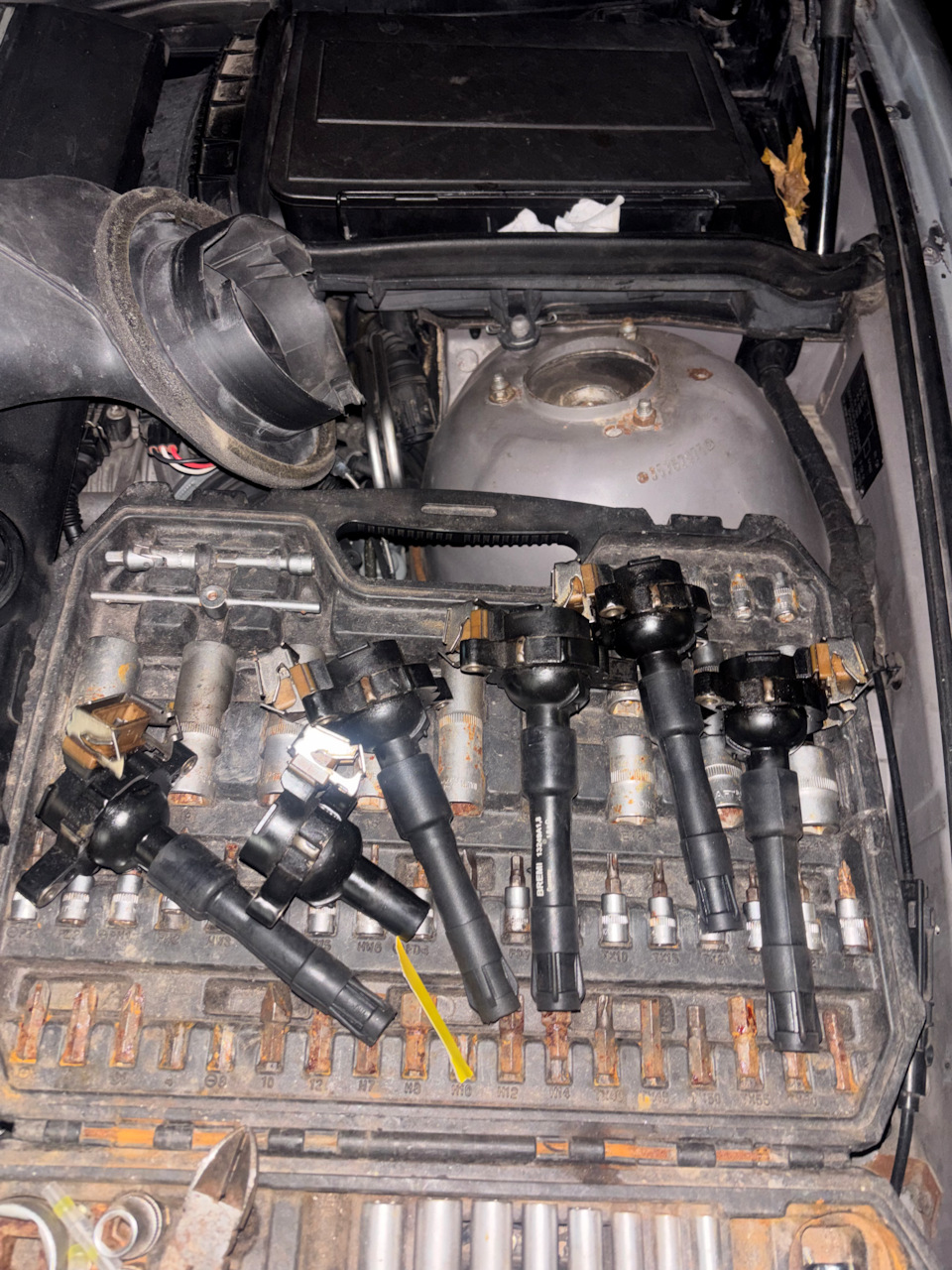 Все катушки. — BMW 5 series (E39)