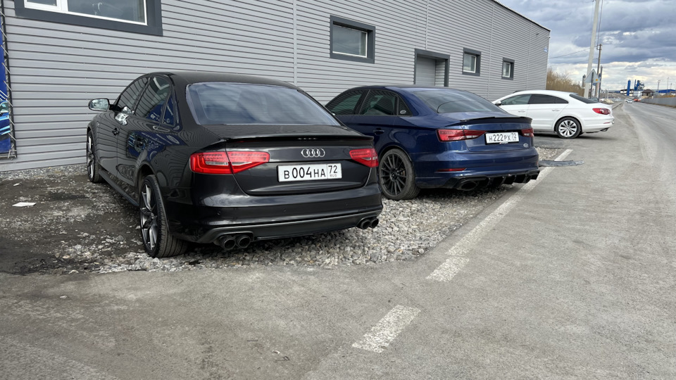 Приехали решать — Audi A4 (B8)