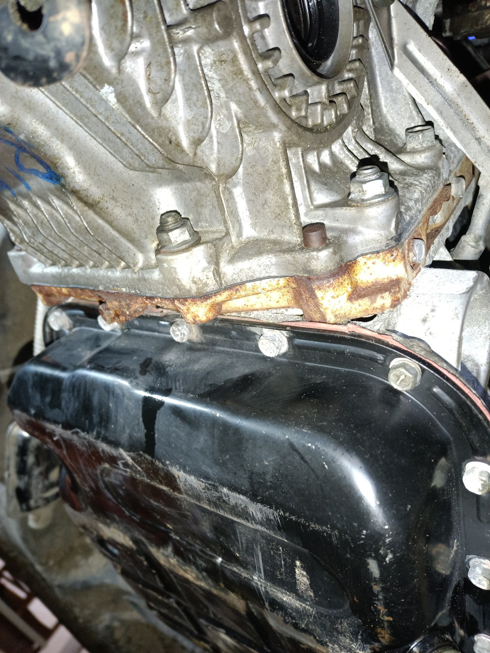Фото в бортжурнале Subaru Forester (SH)