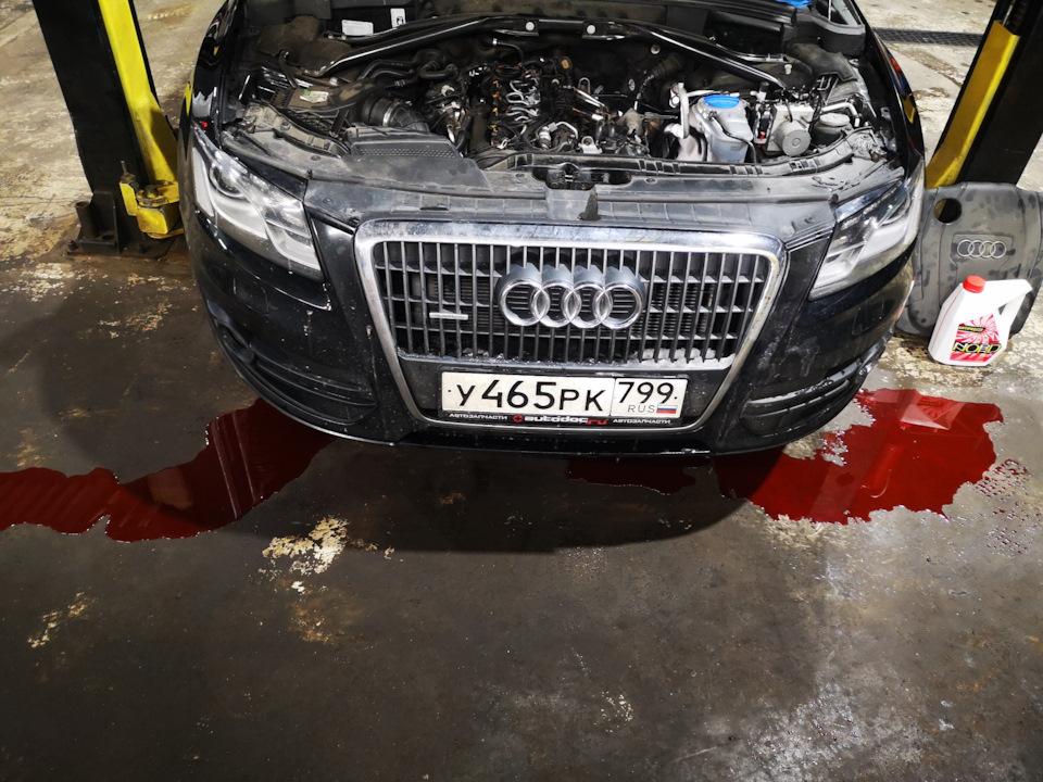 Фото в бортжурнале Audi Q5 (1G)