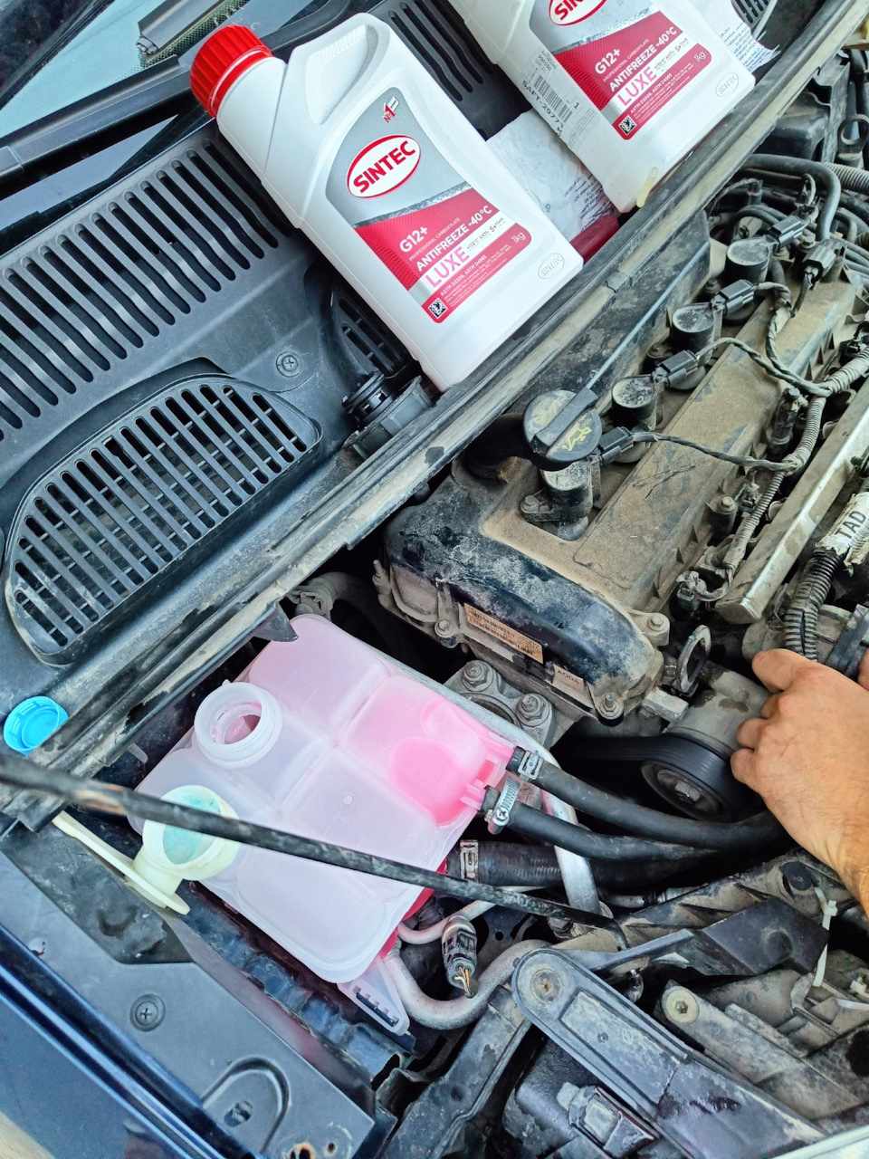 Фото в бортжурнале Ford C-Max I