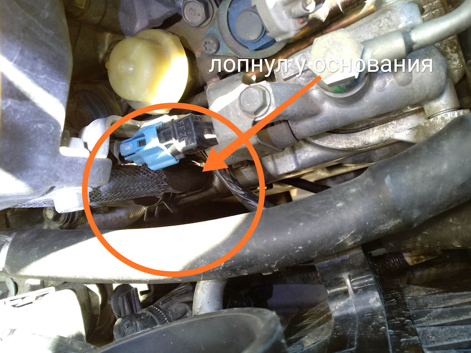 Фото в бортжурнале Subaru Legacy (BL/BP)