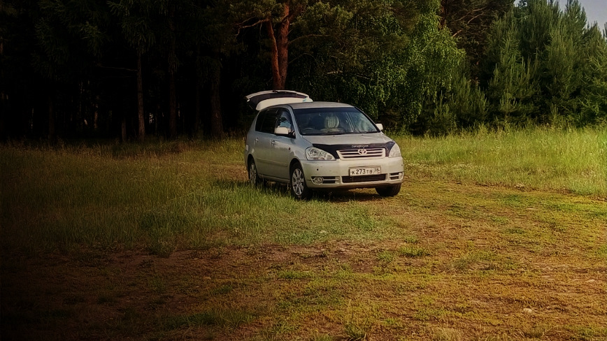 Toyota Ipsum