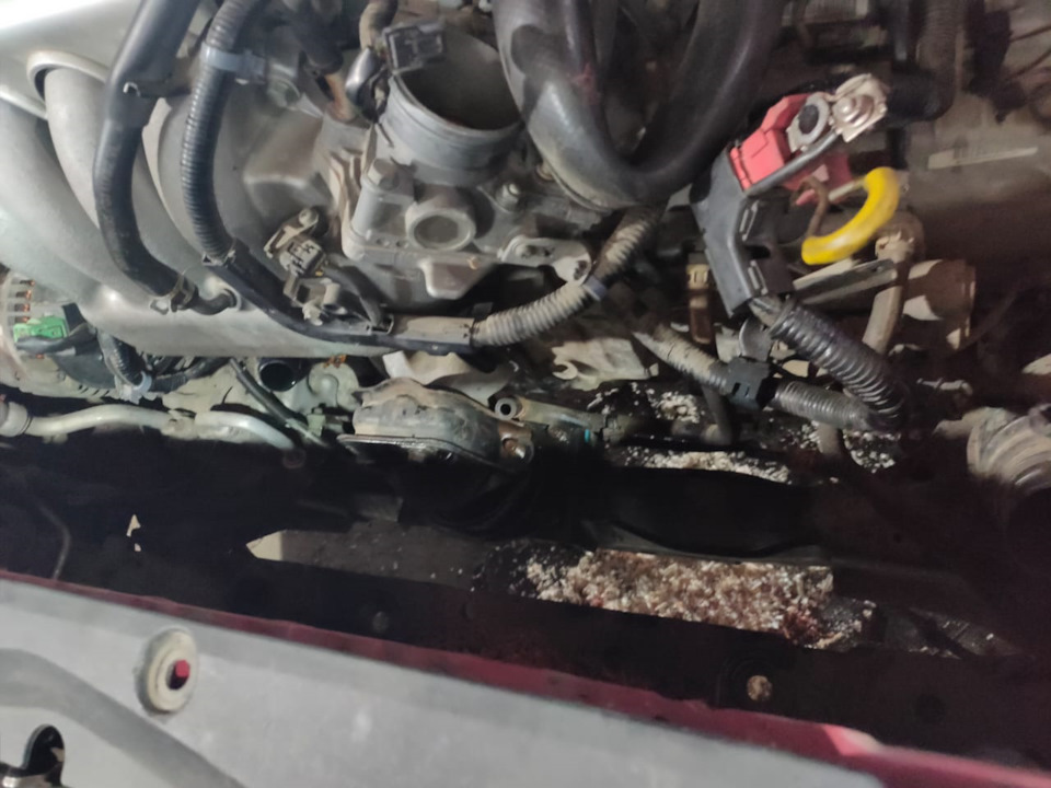 Фото в бортжурнале Honda Accord (7G)
