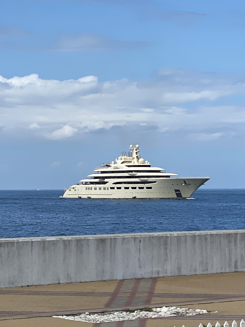 Dilbar (названа в честь матери миллиардера). Очень маму видимо любит) — KIA Carnival (4G)