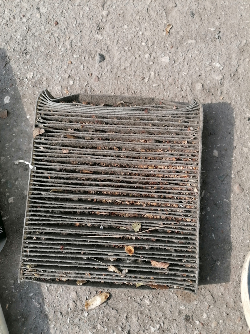 Фото в бортжурнале Nissan Primera (P12)