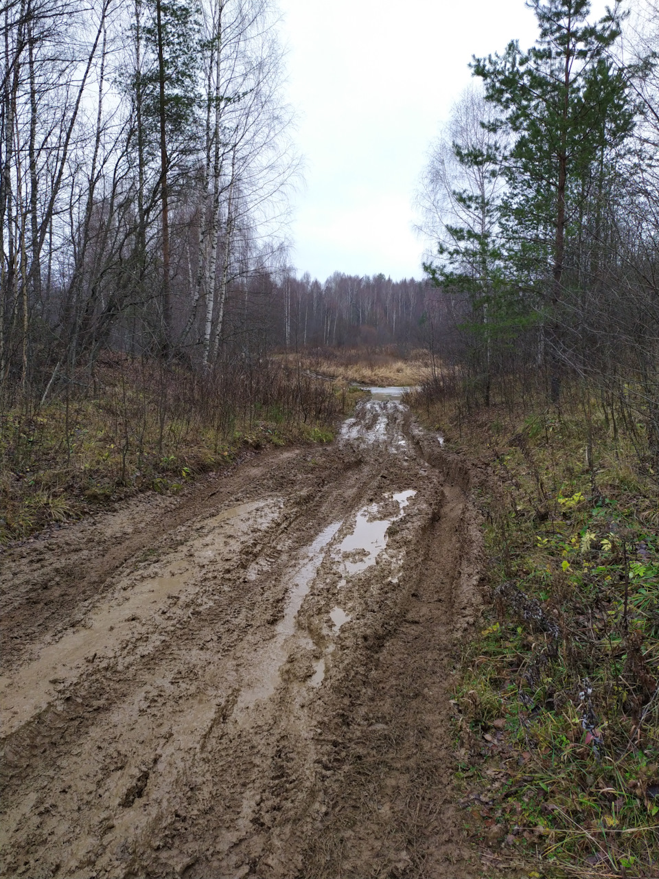 Фото в бортжурнале Toyota 4Runner (3G)