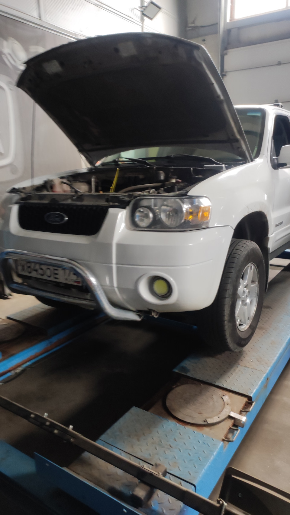 загнали машину на подьемник — Ford Escape (1G)