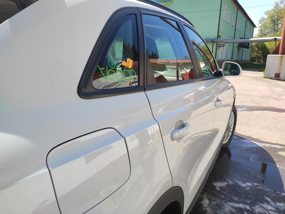 Ну вы поняли: трупы не ем, питаюсь растительной пищей! — Audi Q3 (1G)