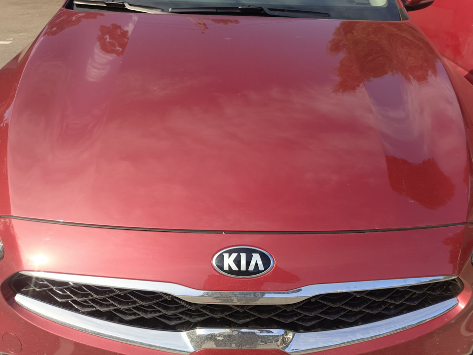 Фото в бортжурнале KIA Cerato (4G)
