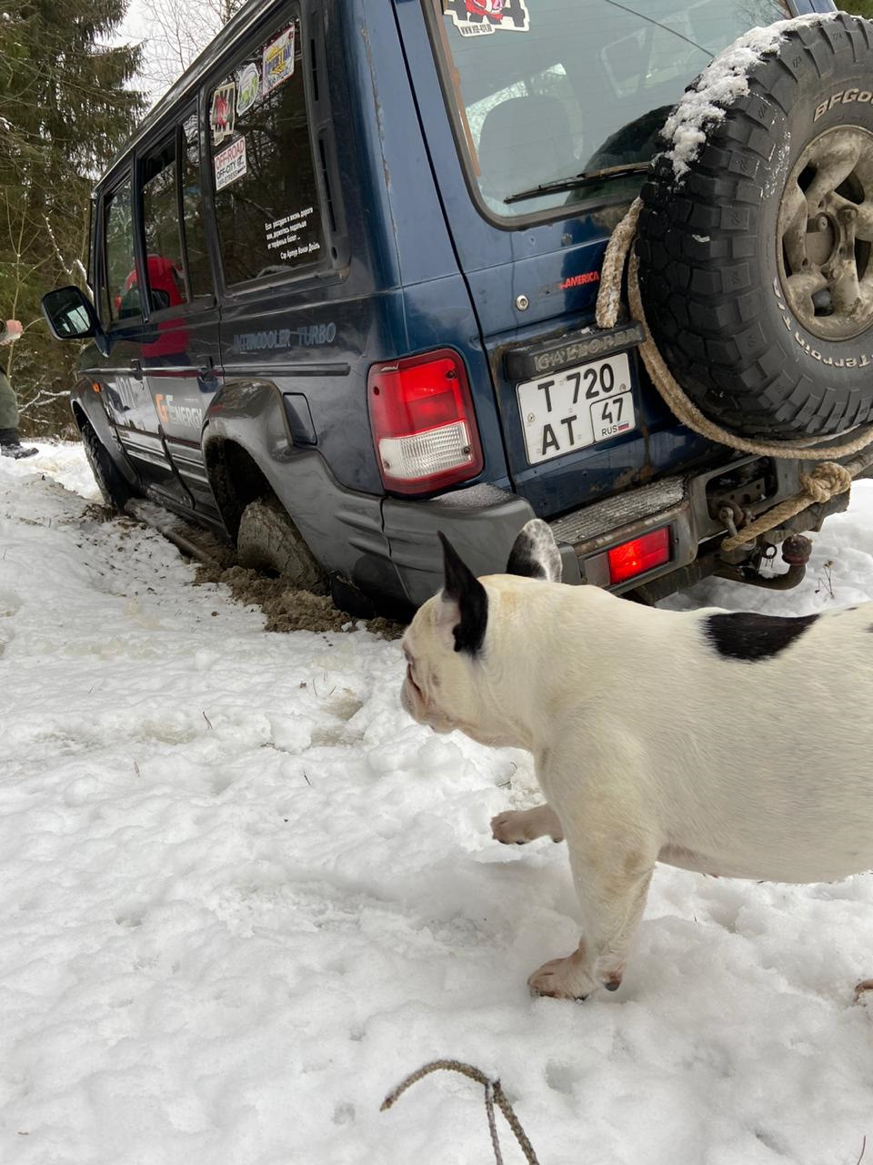 Фото в бортжурнале Land Rover Discovery II
