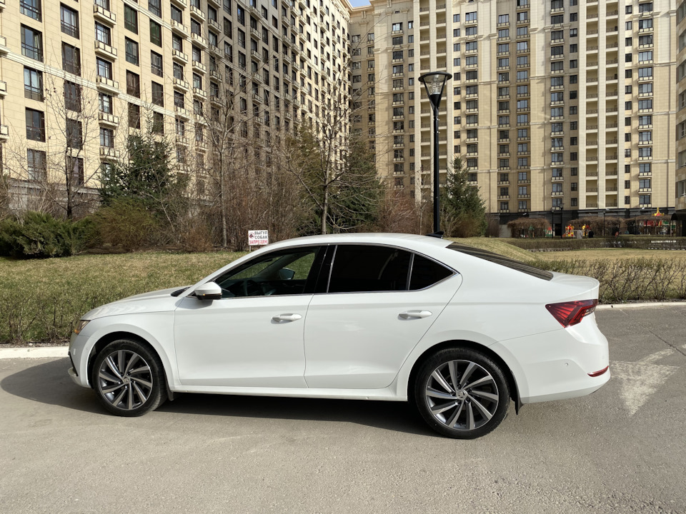 Фото в бортжурнале Skoda Octavia A8 Mk4